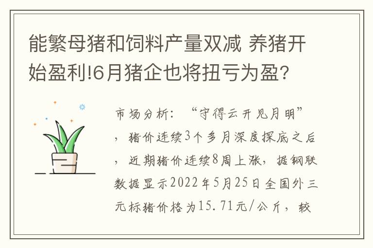能繁母猪和饲料产量双减 养猪开始盈利!6月猪企也将扭亏为盈?