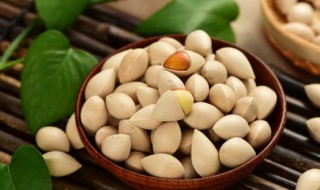 银杏果几月份成熟 银杏果几月份成熟农历
