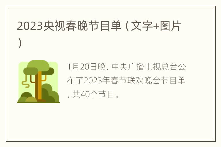 2023央视春晚节目单（文字+图片）