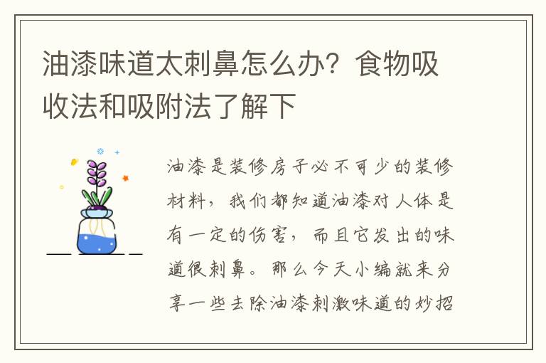 油漆味道太刺鼻怎么办？食物吸收法和吸附法了解下