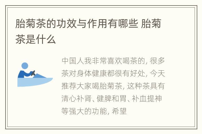 胎菊茶的功效与作用有哪些 胎菊茶是什么