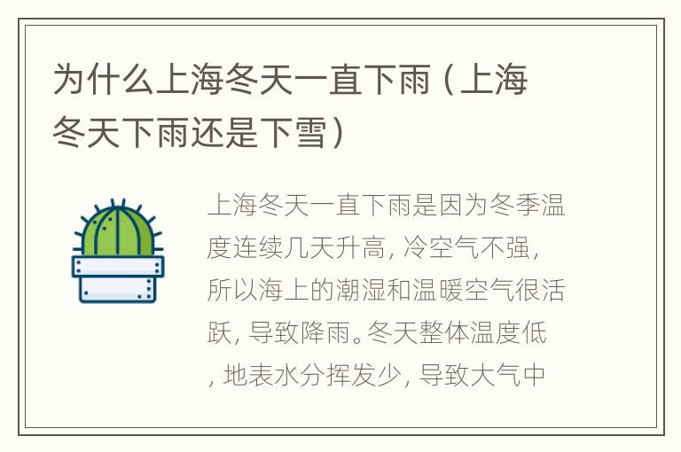 为什么上海冬天一直下雨（上海冬天下雨还是下雪）