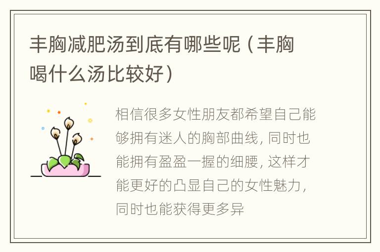 丰胸减肥汤到底有哪些呢（丰胸喝什么汤比较好）