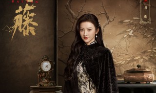 司藤贾桂芝结局是什么 司藤电视剧简介
