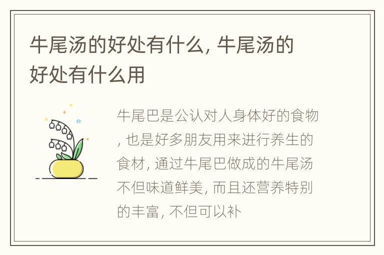 牛尾汤的好处有什么，牛尾汤的好处有什么用