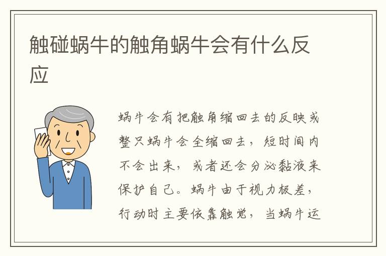 触碰蜗牛的触角蜗牛会有什么反应