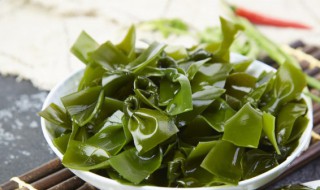 海带裙有什么作用 海带裙作用详解