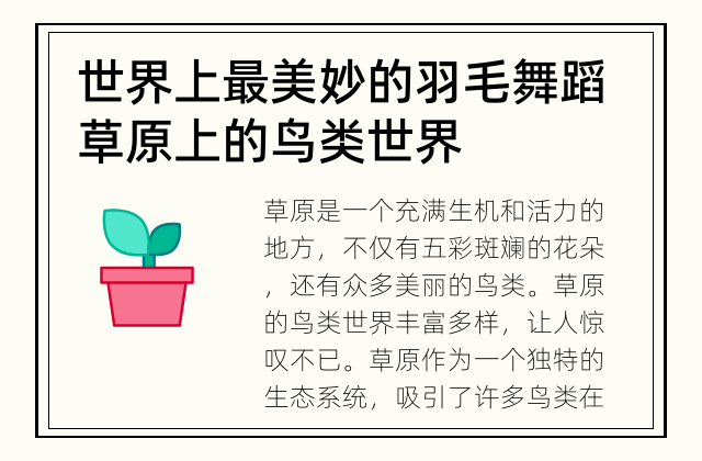 世界上最美妙的羽毛舞蹈 草原上的鸟类世界