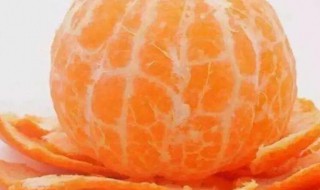橘子外面的白丝是什么 橘子外面的白丝是啥