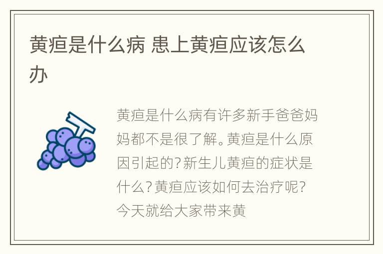 黄疸是什么病 患上黄疸应该怎么办