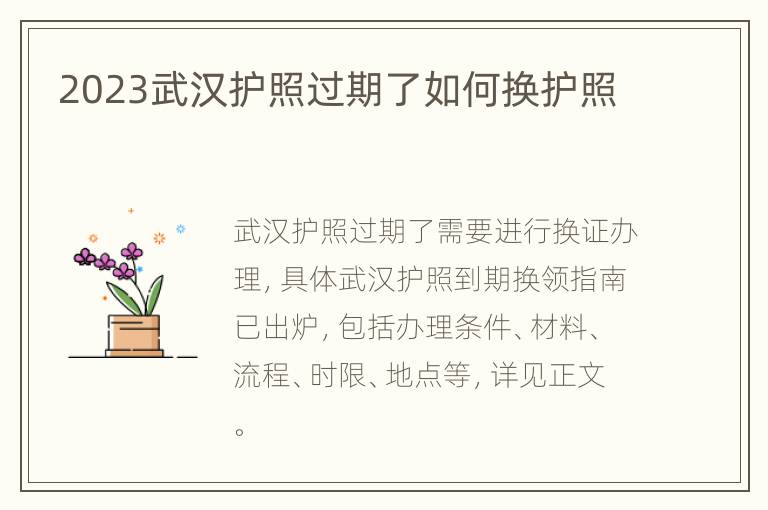 2023武汉护照过期了如何换护照