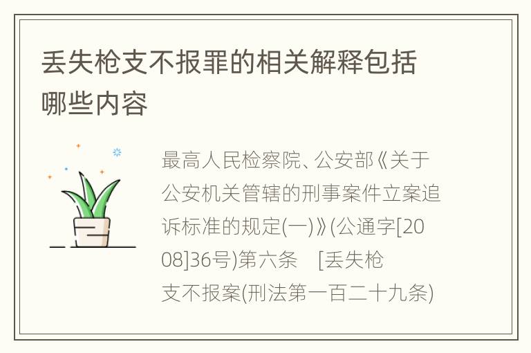 丢失枪支不报罪的相关解释包括哪些内容