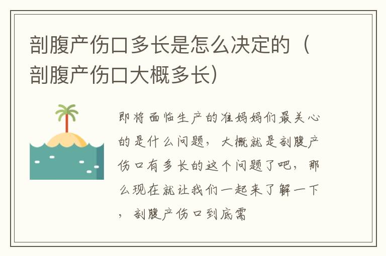剖腹产伤口多长是怎么决定的（剖腹产伤口大概多长）
