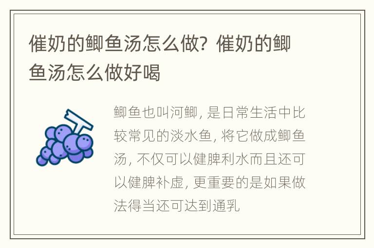 催奶的鲫鱼汤怎么做？ 催奶的鲫鱼汤怎么做好喝