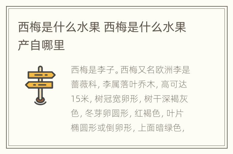 西梅是什么水果 西梅是什么水果产自哪里