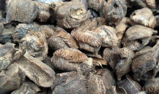 桑螵蛸的功效与食用方法 桑螵蛸怎么吃