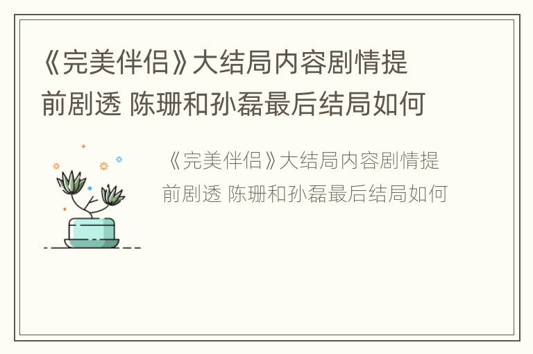 《完美伴侣》大结局内容剧情提前剧透 陈珊和孙磊最后结局如何