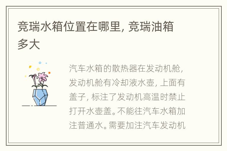 竞瑞水箱位置在哪里，竞瑞油箱多大
