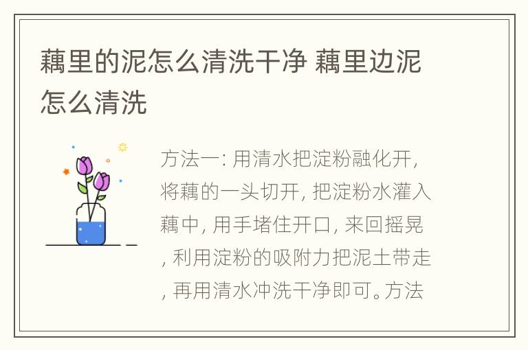 藕里的泥怎么清洗干净 藕里边泥怎么清洗
