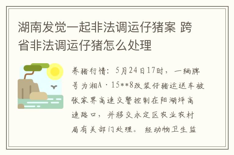 湖南发觉一起非法调运仔猪案 跨省非法调运仔猪怎么处理