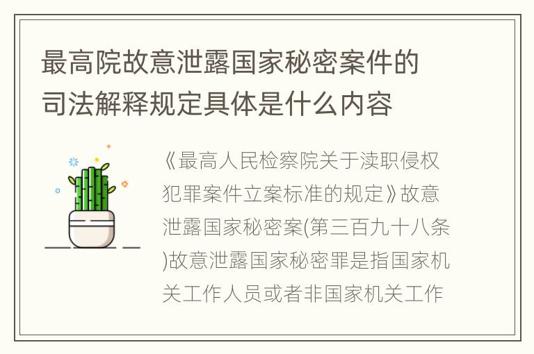 最高院故意泄露国家秘密案件的司法解释规定具体是什么内容