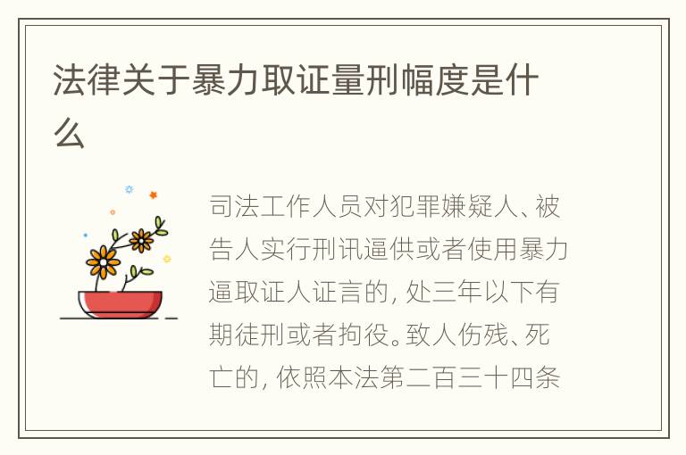 法律关于暴力取证量刑幅度是什么