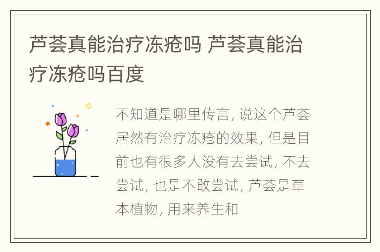 芦荟真能治疗冻疮吗 芦荟真能治疗冻疮吗百度