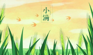 小满前后点瓜种豆是什么意思 小满前后点瓜种豆的意思