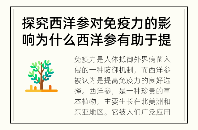 探究西洋参对免疫力的影响 为什么西洋参有助于提高免疫力？