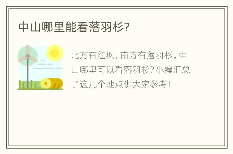 中山哪里能看落羽杉？