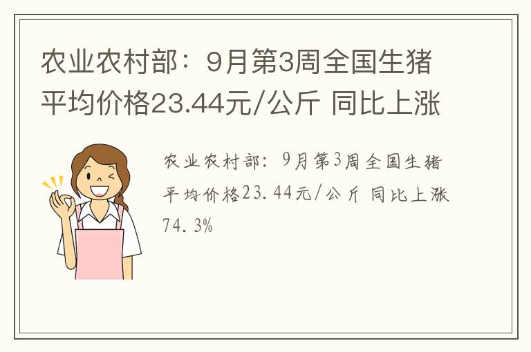 农业农村部：9月第3周全国生猪平均价格23.44元/公斤 同比上涨74.3%
