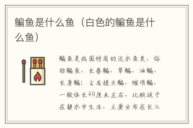 鳊鱼是什么鱼（白色的鳊鱼是什么鱼）