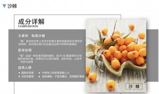 沙棘果的主要价值 沙棘果的主要价值是什么呢