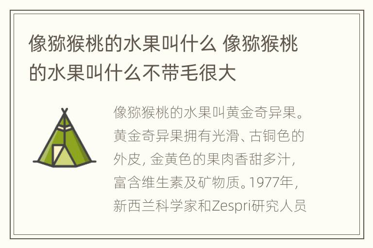 像猕猴桃的水果叫什么 像猕猴桃的水果叫什么不带毛很大