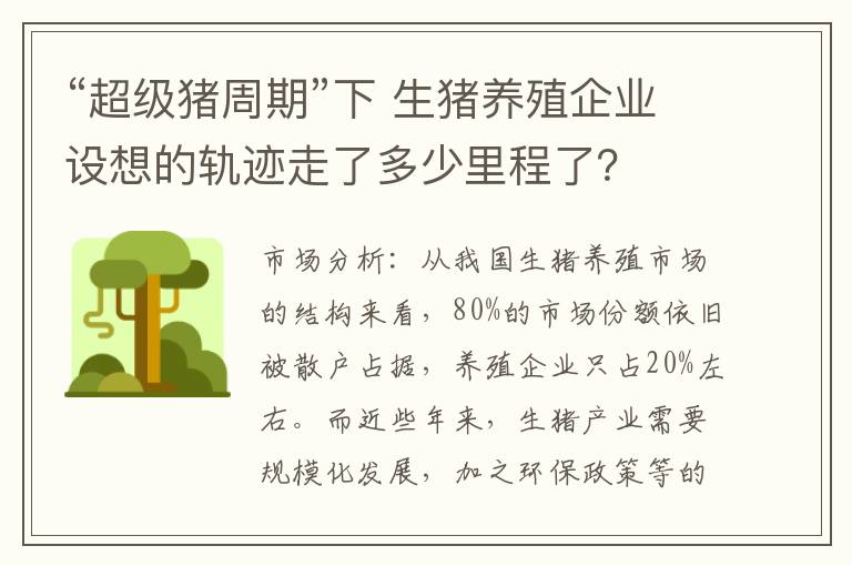 “超级猪周期”下 生猪养殖企业设想的轨迹走了多少里程了？