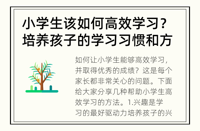 小学生该如何高效学习？ 培养孩子的学习习惯和方法
