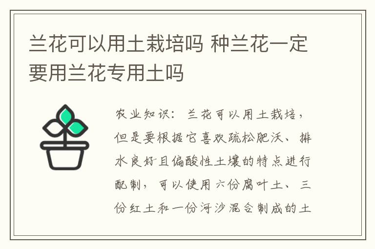 兰花可以用土栽培吗 种兰花一定要用兰花专用土吗
