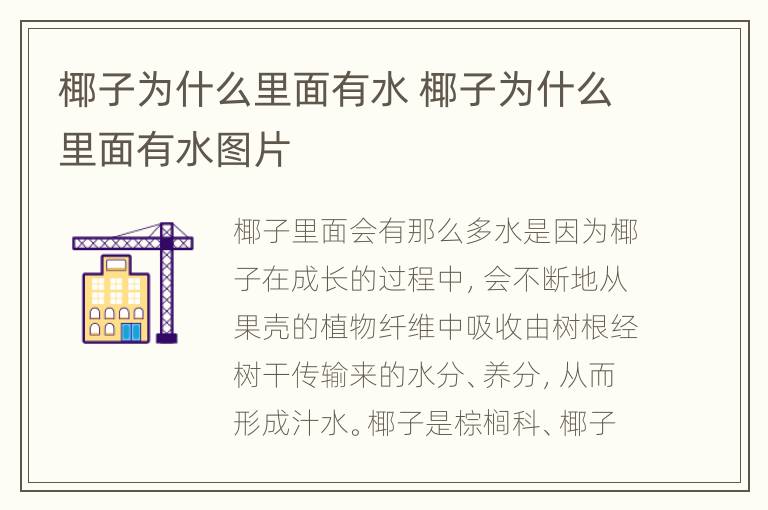 椰子为什么里面有水 椰子为什么里面有水图片