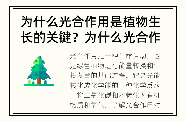 为什么光合作用是植物生长的关键？ 为什么光合作用与植物生长有重要关联？