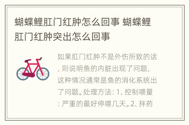 蝴蝶鲤肛门红肿怎么回事 蝴蝶鲤肛门红肿突出怎么回事