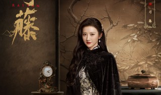 司藤主要讲了什么故事 司藤电视剧简介
