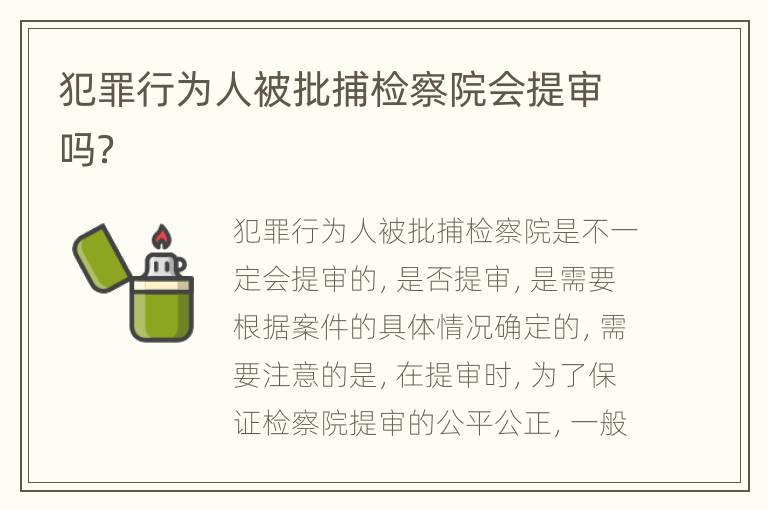 犯罪行为人被批捕检察院会提审吗？
