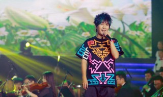 大张伟棒棒鸡歌词 鸡叫过大年歌曲介绍