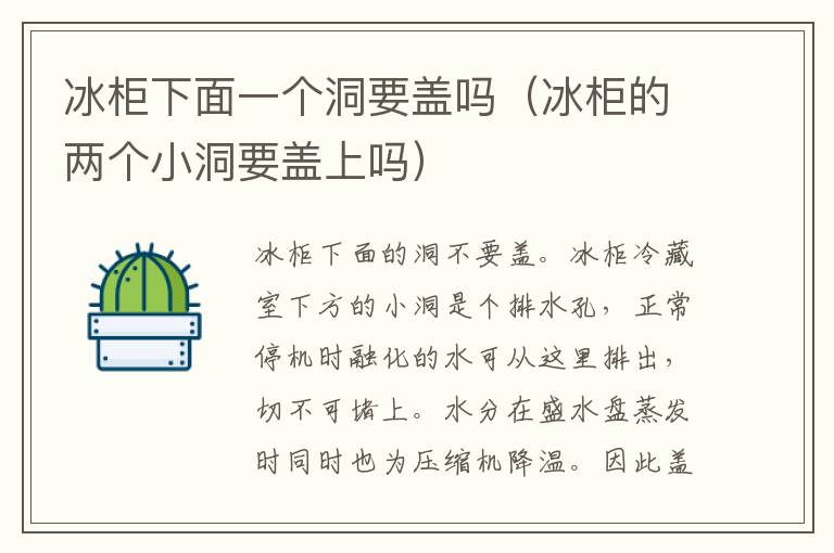 冰柜下面一个洞要盖吗（冰柜的两个小洞要盖上吗）