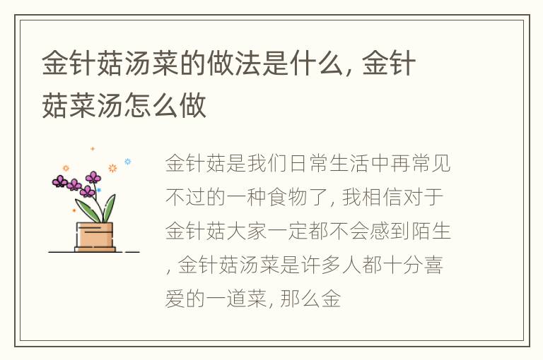 金针菇汤菜的做法是什么，金针菇菜汤怎么做