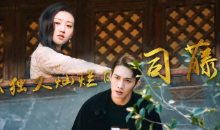 司藤具体讲的什么 司藤改编自哪本小说
