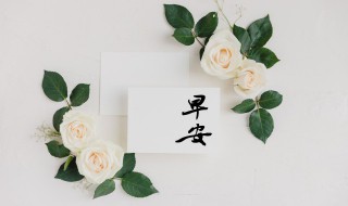 早安语录朋友圈 关于早安的朋友圈语录