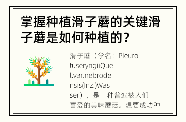 掌握种植滑子蘑的关键 滑子蘑是如何种植的？