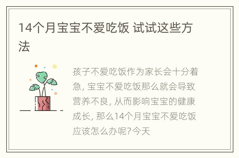 14个月宝宝不爱吃饭 试试这些方法