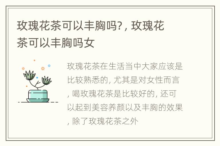 玫瑰花茶可以丰胸吗？，玫瑰花茶可以丰胸吗女